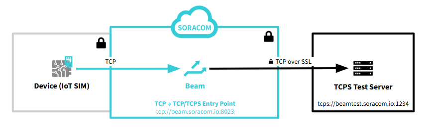TCP flow via Beam to TCPS test server