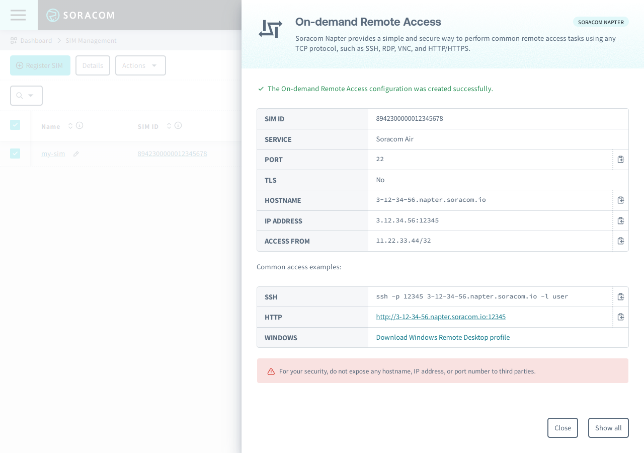 Soracom Napter connection details dialog showing IP address, hostname, and port