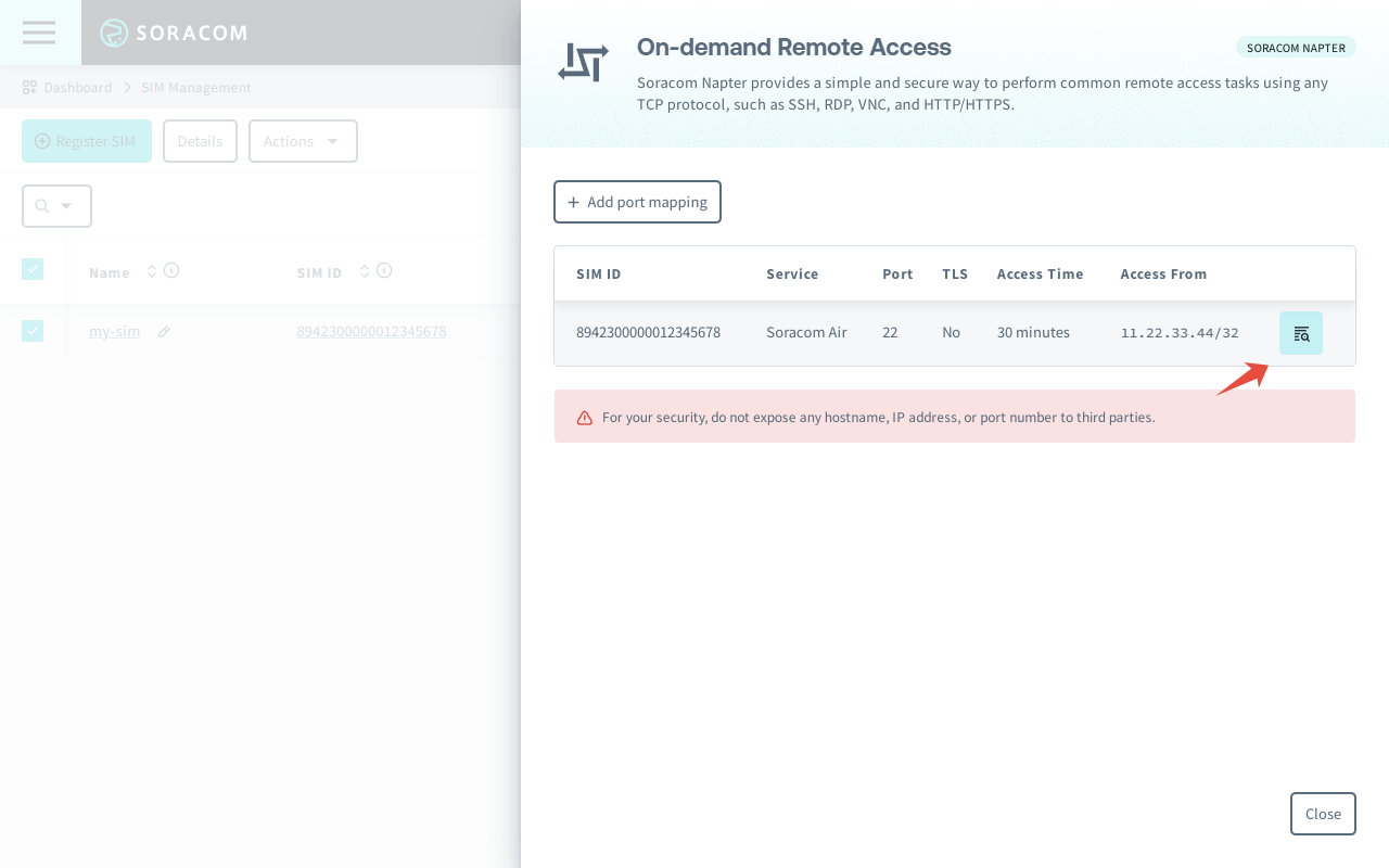 Soracom User Console showing a list of active Napter on-demand remote access connections