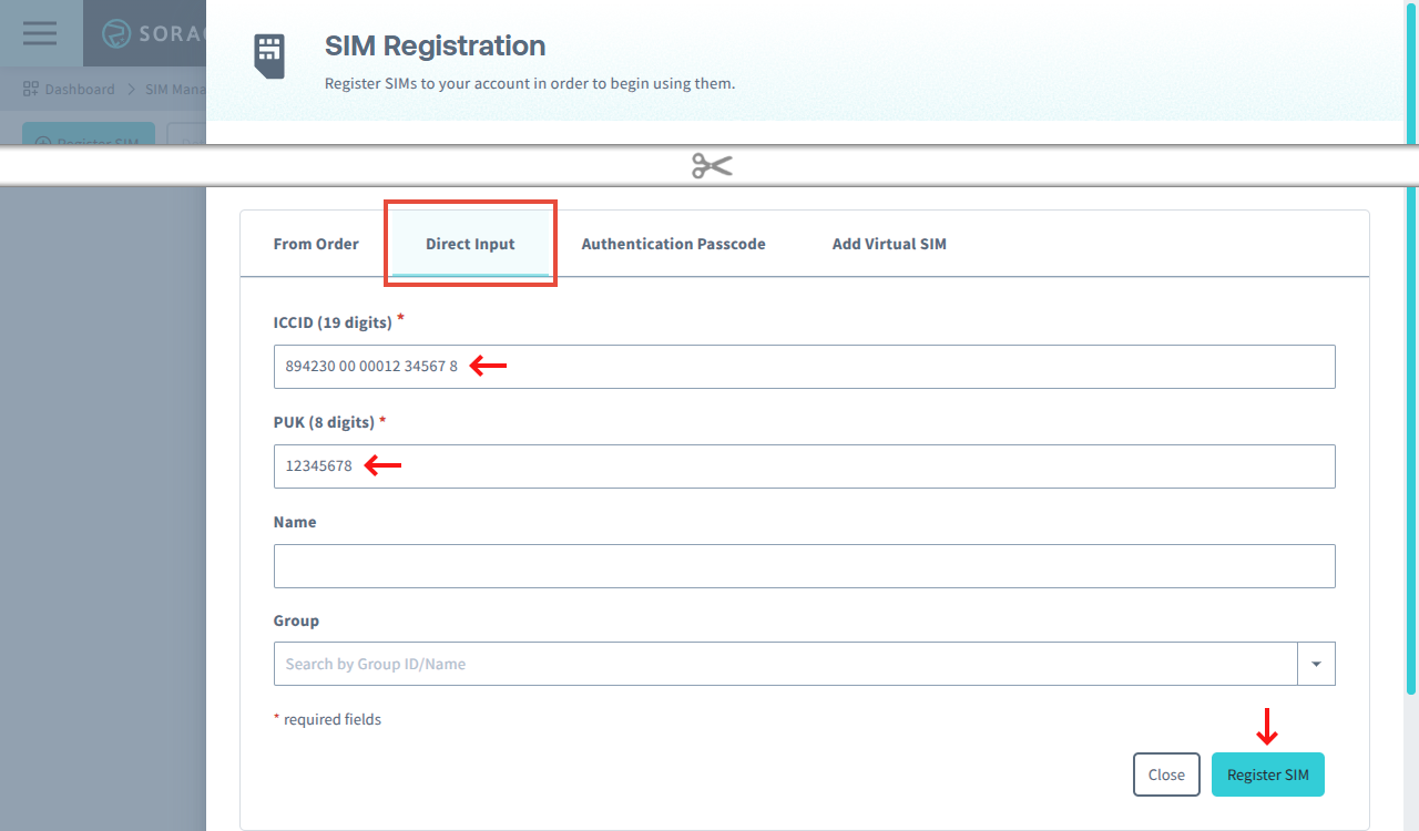 Register SIM from direct input
