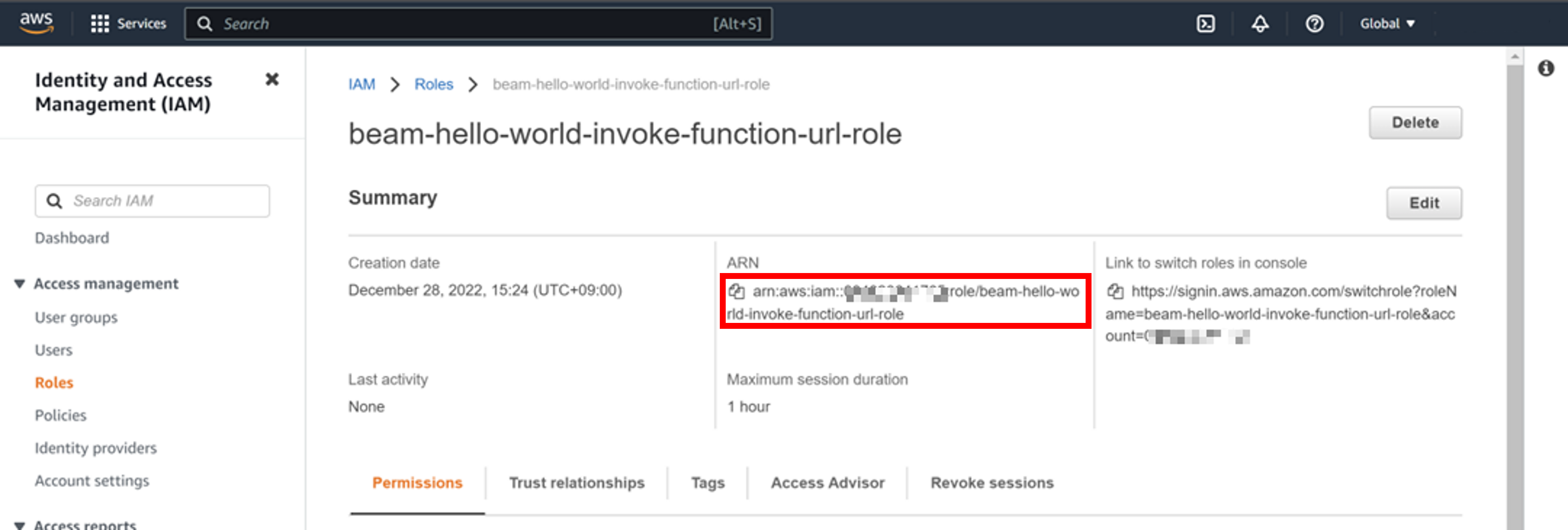 IAM Role ARN Information