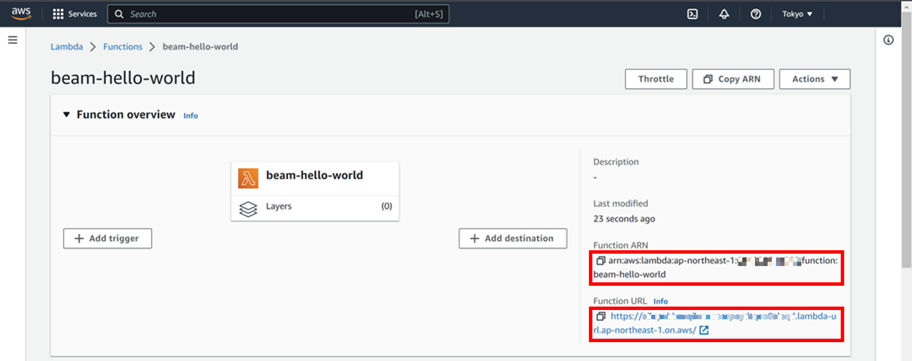 Function ARN and URL Information